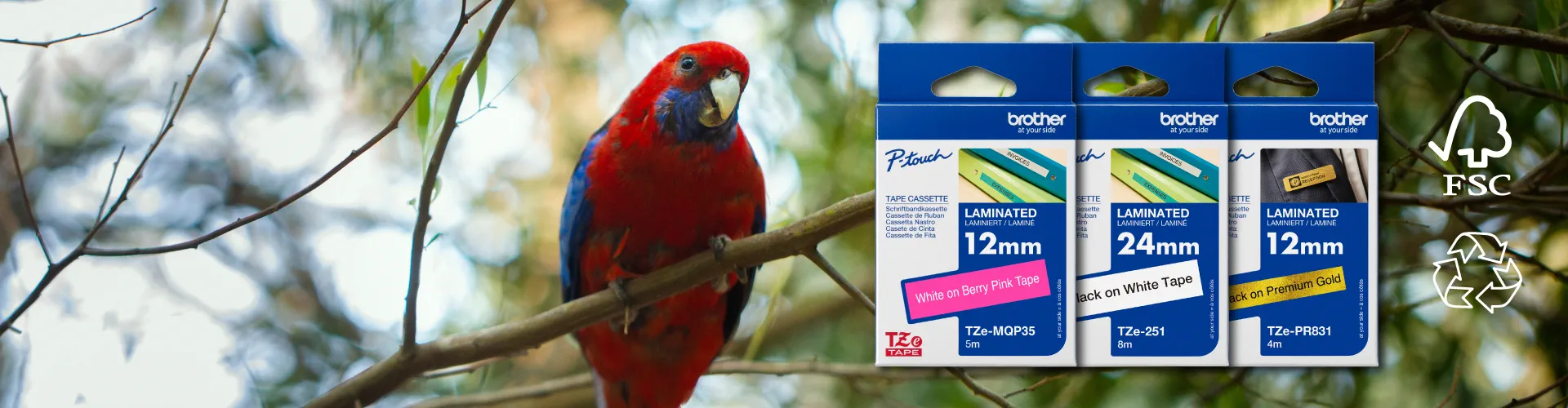 Hình ảnh các loại băng nhãn Brother TZe với màu sắc và kích thước khác nhau, minh họa khả năng chống chịu môi trường và cách chọn băng nhãn phù hợp cho máy brother